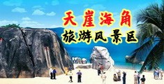 XXX欧美老妇毛多添泬视频海南三亚-天崖海角旅游风景区